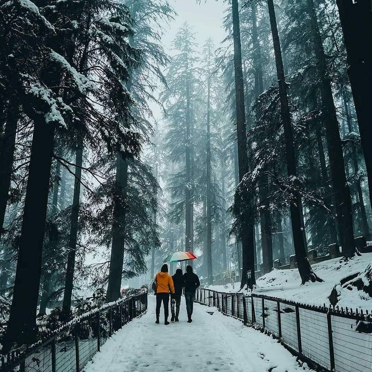 Exotic Manali by Volvo