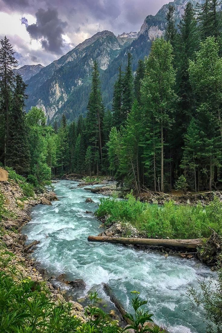 Highlights of Kashmir (Jammu to Jammu)
