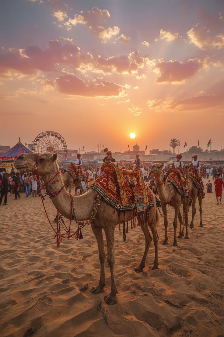 Jaipur, Ranthambore, Pushkar & Jodhpur Tour