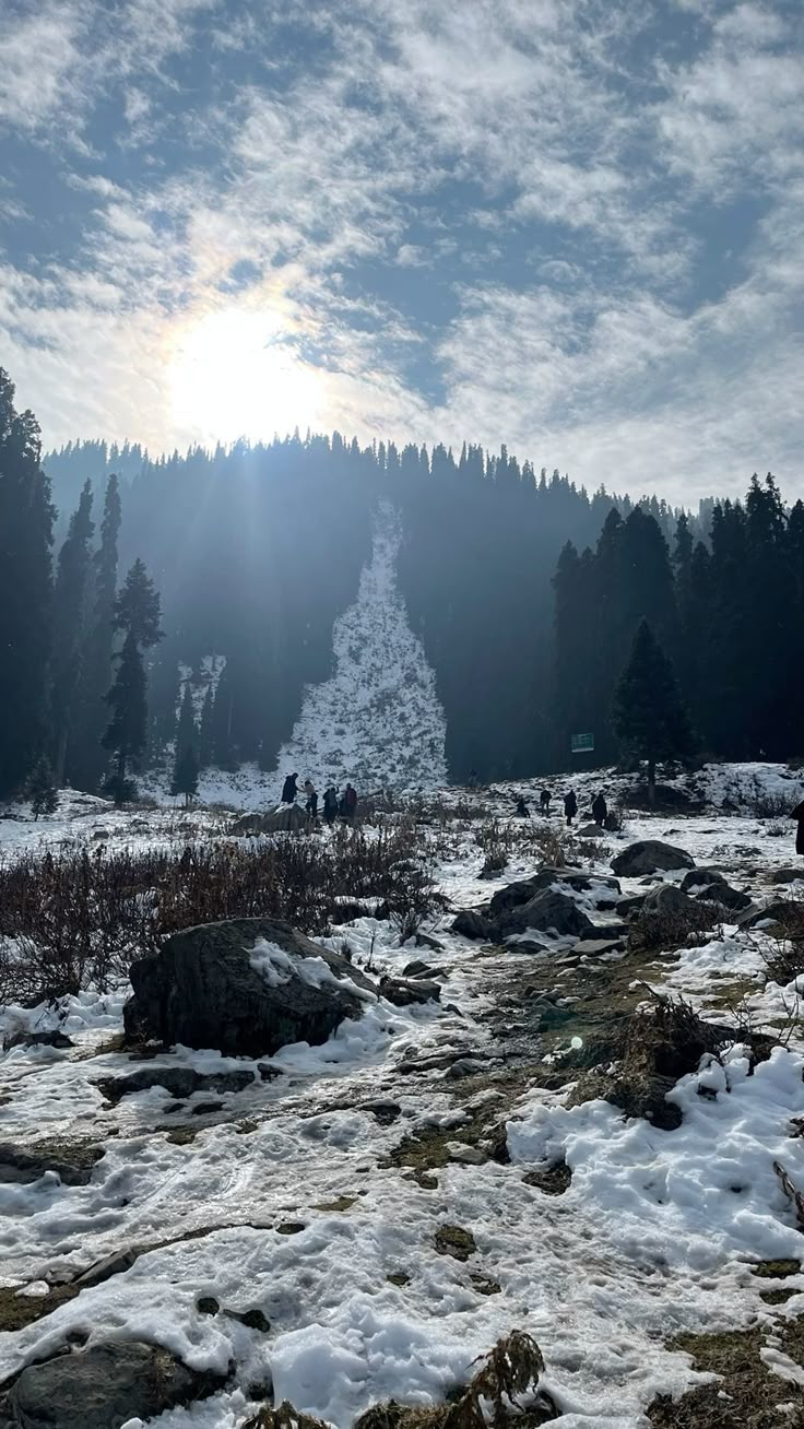 Kashmir Delight with Valley of Milk