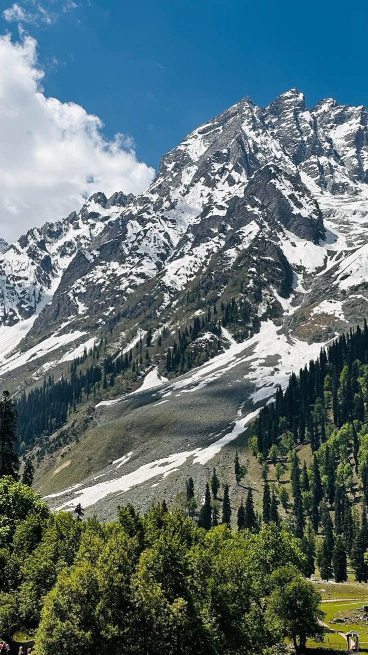 Kashmir Delight with Valley of Milk