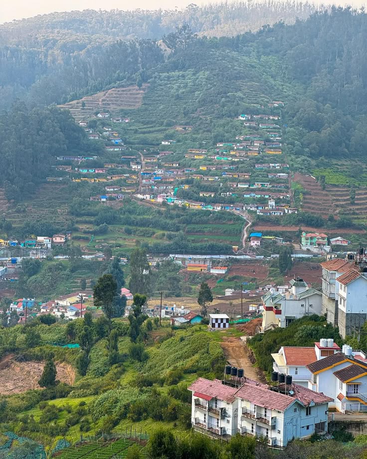 Kerala Offbeat Tour